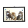 Cadre Miroir Amis Mots Chatons