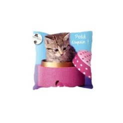 Coussin Déco - Chaton Petit Coquin
