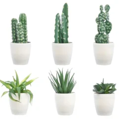 Lot De 6 Faux Cactus Assortis
