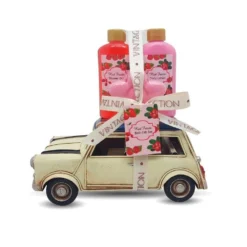 Set De Toilette Fruit Rouge - Mini Vintage En Métal